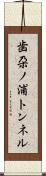歯朶ノ浦トンネル Scroll