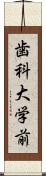 歯科大学前 Scroll