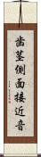 歯茎側面接近音 Scroll