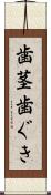 歯茎 Scroll
