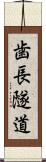 歯長隧道 Scroll