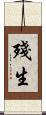 殘生 Scroll