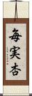 毎実杏 Scroll