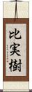 比実樹 Scroll