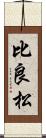比良松 Scroll