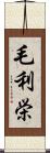 毛利栄 Scroll