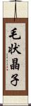 毛状晶子 Scroll