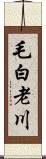 毛白老川 Scroll