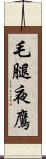 毛腿夜鷹 Scroll