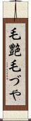 毛艶 Scroll