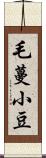 毛蔓小豆 Scroll