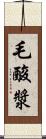 毛酸漿 Scroll