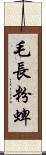 毛長粉蜱 Scroll