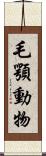 毛顎動物 Scroll