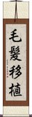 毛髪移植 Scroll