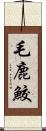 毛鹿鮫 Scroll