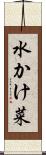 水かけ菜 Scroll