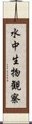 水中生物観察 Scroll