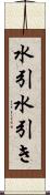 水引 Scroll