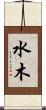 水木 Scroll