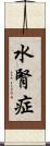 水腎症 Scroll
