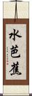水芭蕉 Scroll