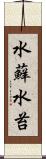 水蘚 Scroll