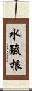 水酸根 Scroll