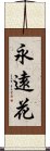 永遠花 Scroll