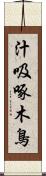 汁吸啄木鳥 Scroll