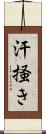 汗掻き Scroll
