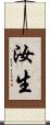 汝生 Scroll