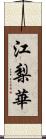 江梨華 Scroll