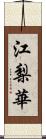 江梨華 Scroll