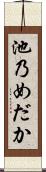 池乃めだか Scroll