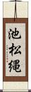池松縄 Scroll