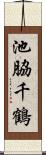 池脇千鶴 Scroll