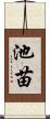 池苗 Scroll