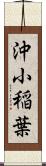 沖小稲葉 Scroll