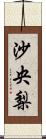 沙央梨 Scroll