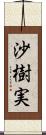 沙樹実 Scroll