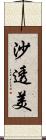 沙透美 Scroll