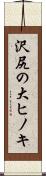 沢尻の大ヒノキ Scroll
