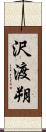 沢渡朔 Scroll