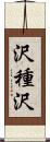 沢種沢 Scroll