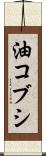 油コブシ Scroll