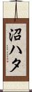 沼ハタ Scroll