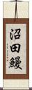 沼田鰻 Scroll