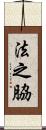 法之脇 Scroll