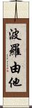 波羅由他 Scroll